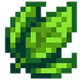 Leaf