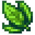 Leaf